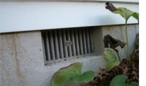 Crawl Space Ventilation Solutions from The Bug Man