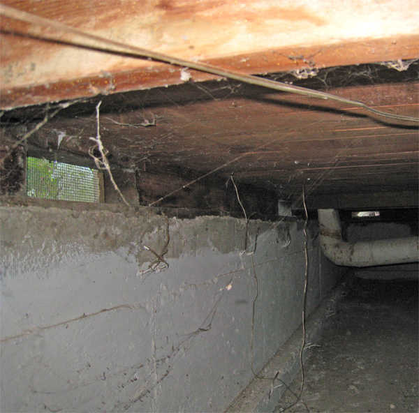 Is Your Crawlspace Making You Sick?