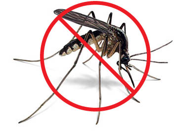 Don't let mosquitoes force you inside this summer!