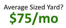 Average Sized Yard - 75 dollars per month